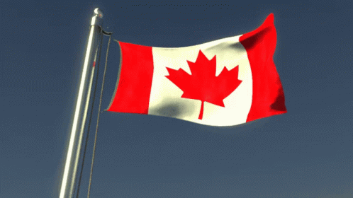 Canadian flag waving over the About section of MacSRED’s website Animated Canadian flag GIF representing MacSRED, SR&ED, and payroll tax consulting Maple leaf flag GIF highlighting MacSRED’s Canadian federal and provincial tax expertise Canadian flag an